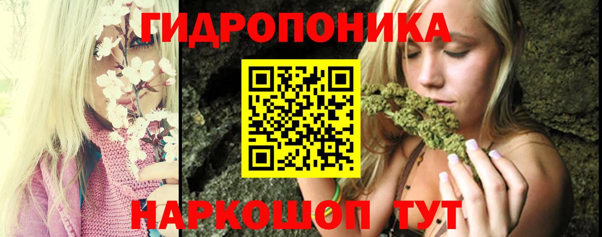 Конопля Amnesia Печора